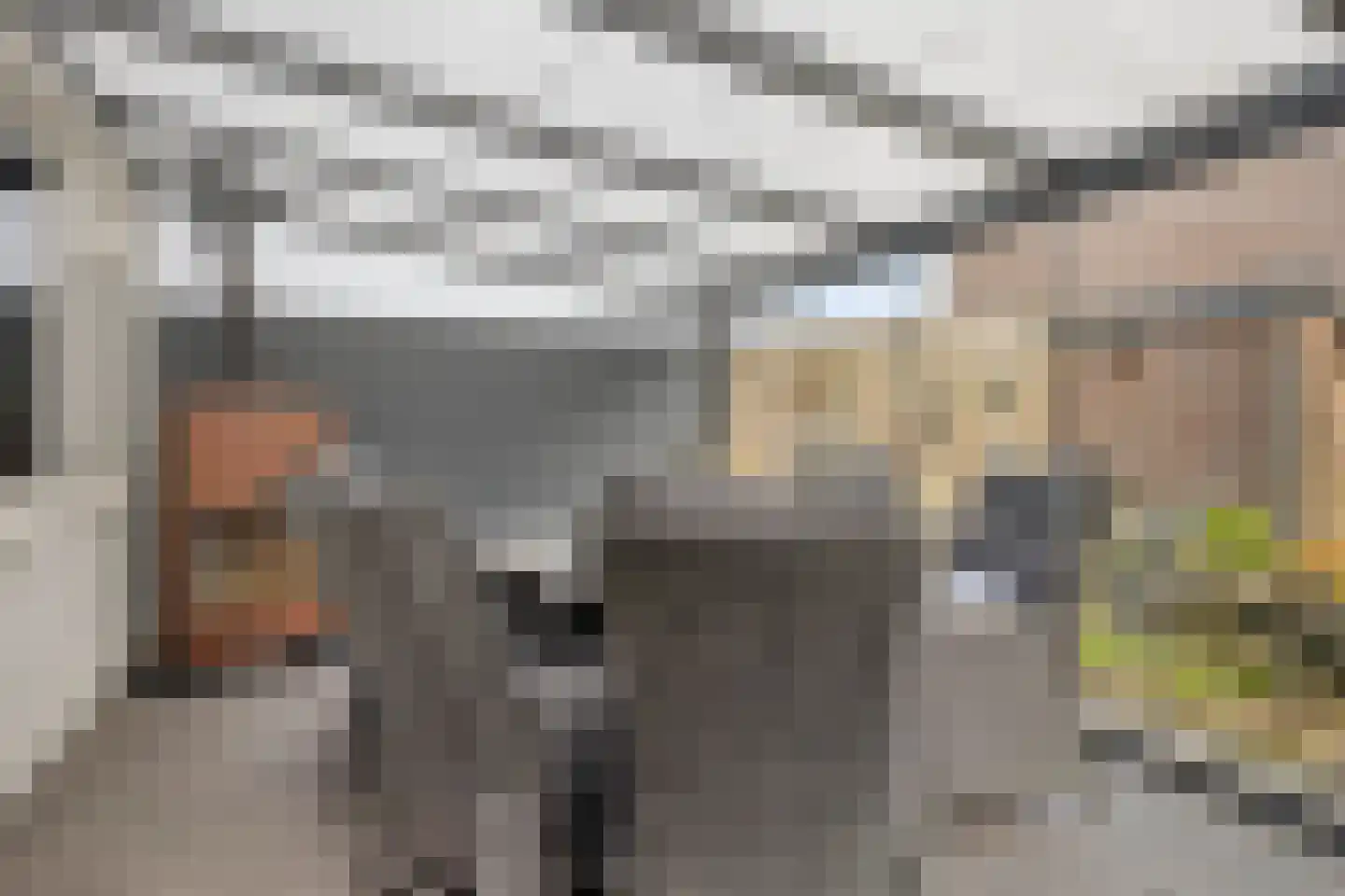 Boskrekel 91 Deventer thumbnail 26