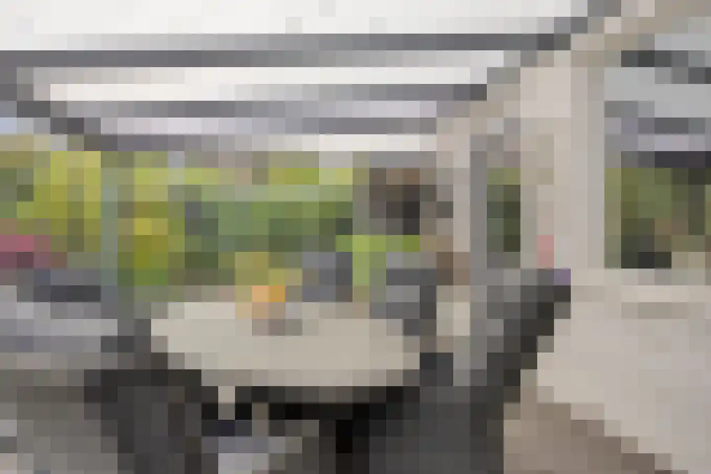 Boskrekel 91 Deventer thumbnail 28