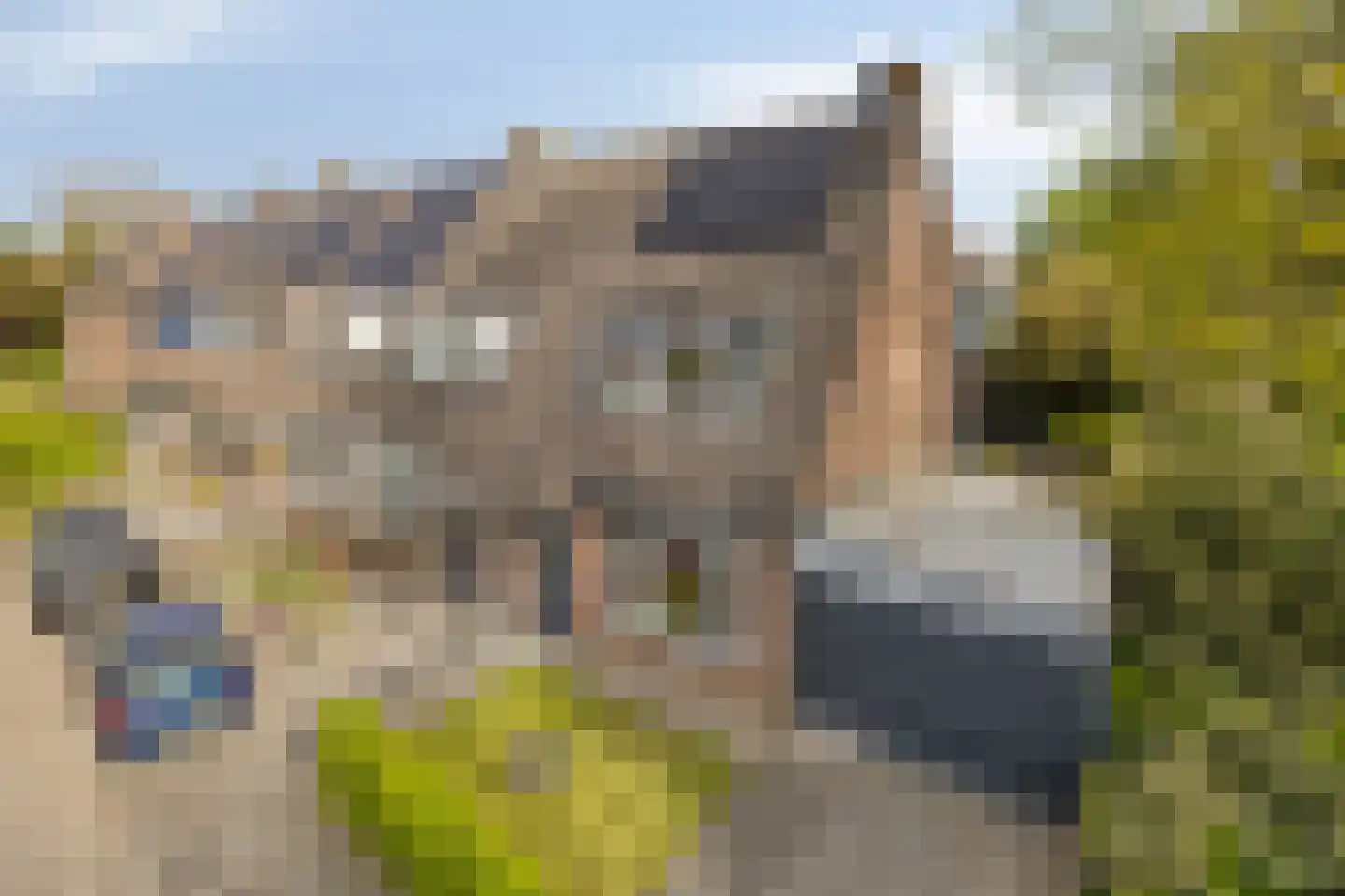 Boskrekel 91 Deventer thumbnail 30