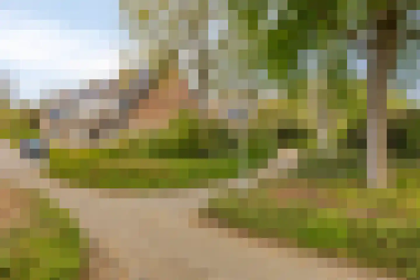 Boskrekel 91 Deventer thumbnail 33