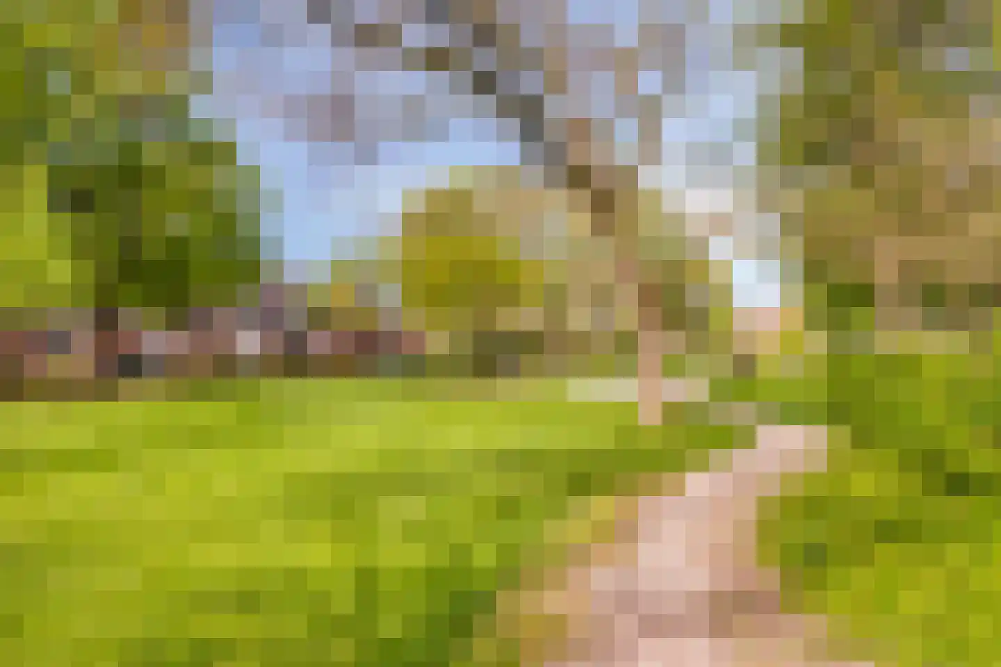Boskrekel 91 Deventer thumbnail 34