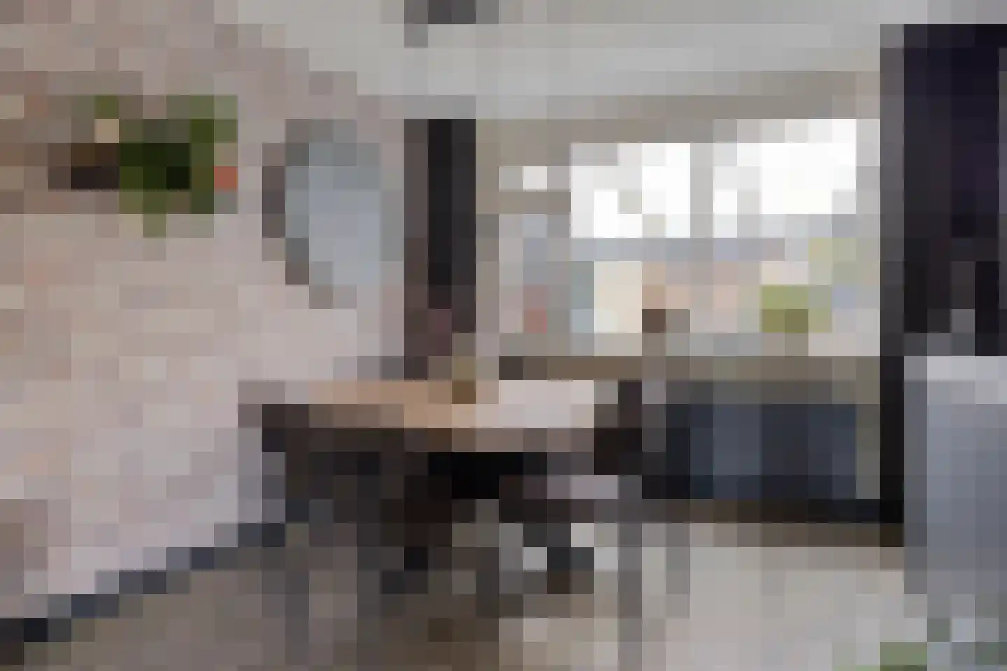 Boskrekel 91 Deventer thumbnail 7