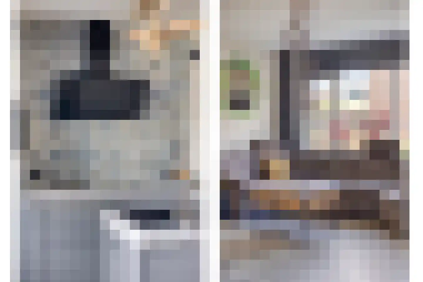 Boskrekel 91 Deventer thumbnail 9