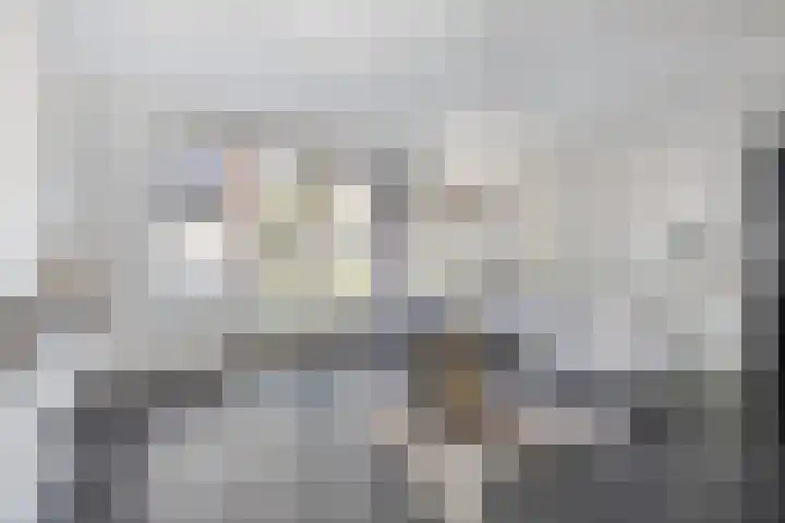 Boskriek 1 Alphen thumbnail 11