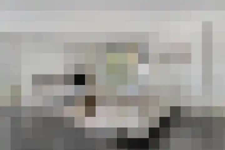 Boskriek 1 Alphen thumbnail 12