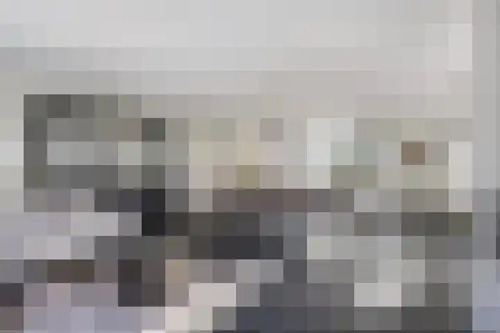 Boskriek 1 Alphen thumbnail 15