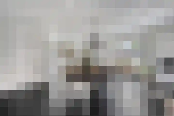 Boskriek 1 Alphen thumbnail 16