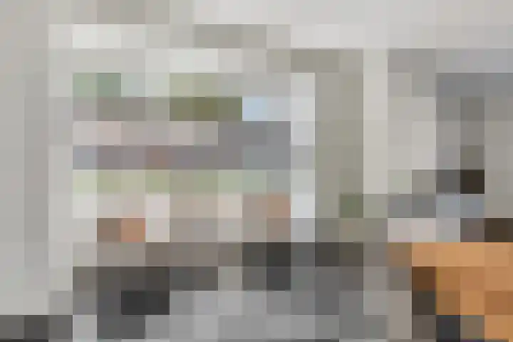 Boskriek 1 Alphen thumbnail 17