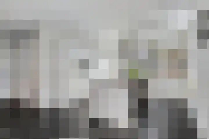 Boskriek 1 Alphen thumbnail 18