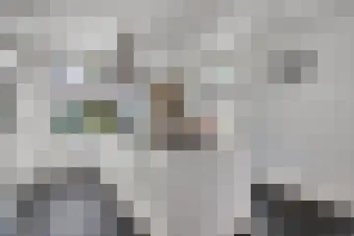Boskriek 1 Alphen thumbnail 19