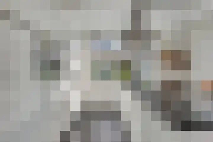 Boskriek 1 Alphen thumbnail 20