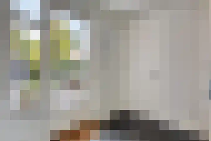 Boskriek 1 Alphen thumbnail 21