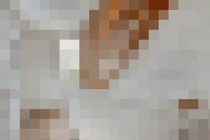 Boskriek 1 Alphen thumbnail 23