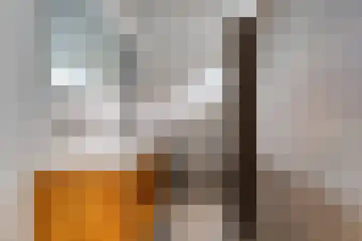 Boskriek 1 Alphen thumbnail 31