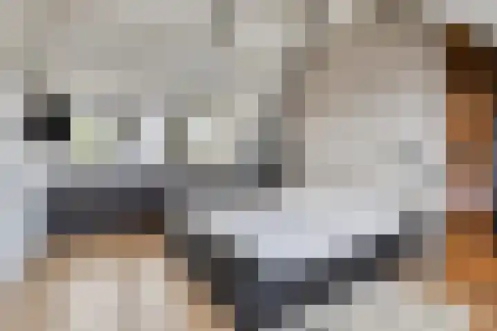 Boskriek 1 Alphen thumbnail 35