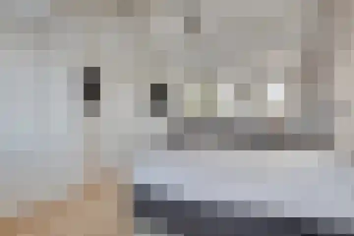 Boskriek 1 Alphen thumbnail 36