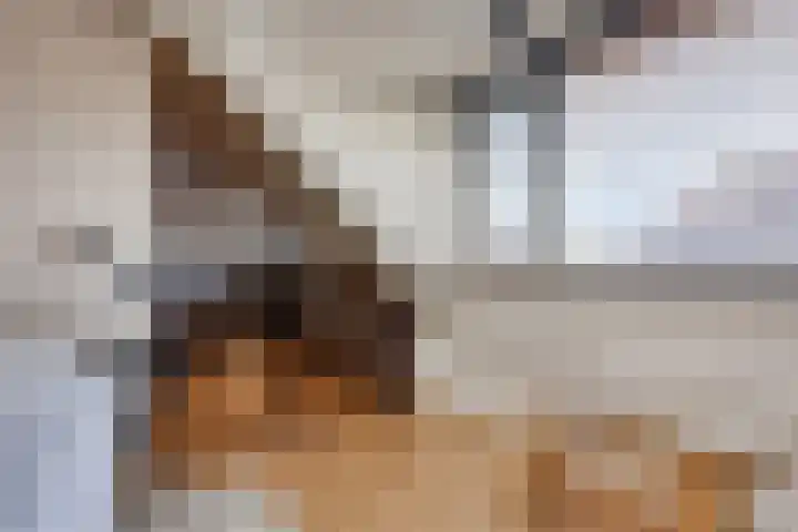 Boskriek 1 Alphen thumbnail 40