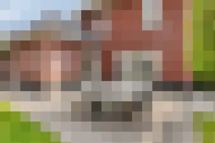 Boskriek 1 Alphen thumbnail 55
