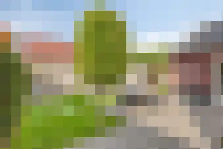 Boskriek 1 Alphen thumbnail 57