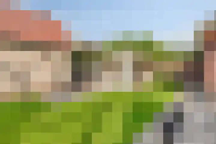 Boskriek 1 Alphen thumbnail 58
