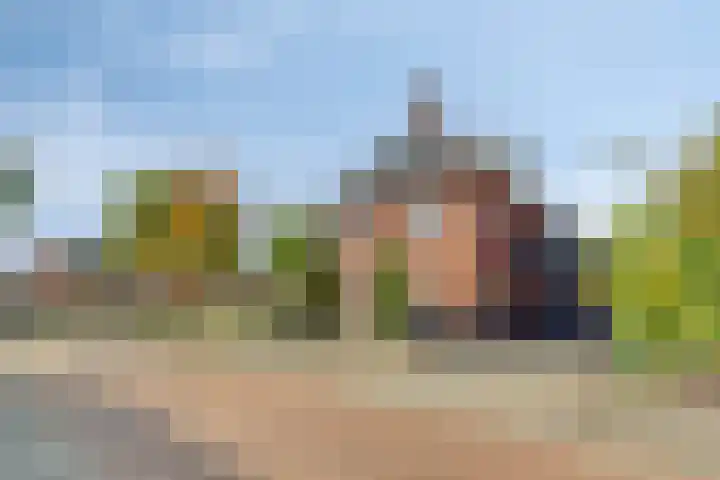 Boskriek 1 Alphen thumbnail 6