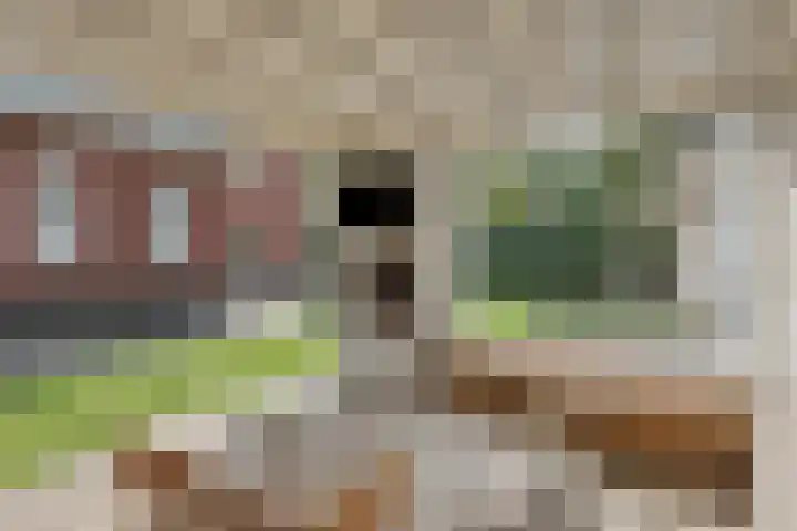 Boskriek 1 Alphen thumbnail 60