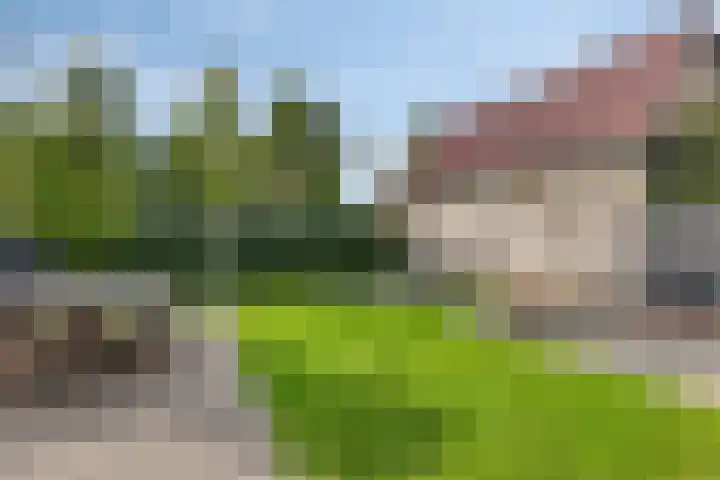 Boskriek 1 Alphen thumbnail 61
