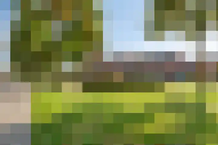 Boskriek 1 Alphen thumbnail 62