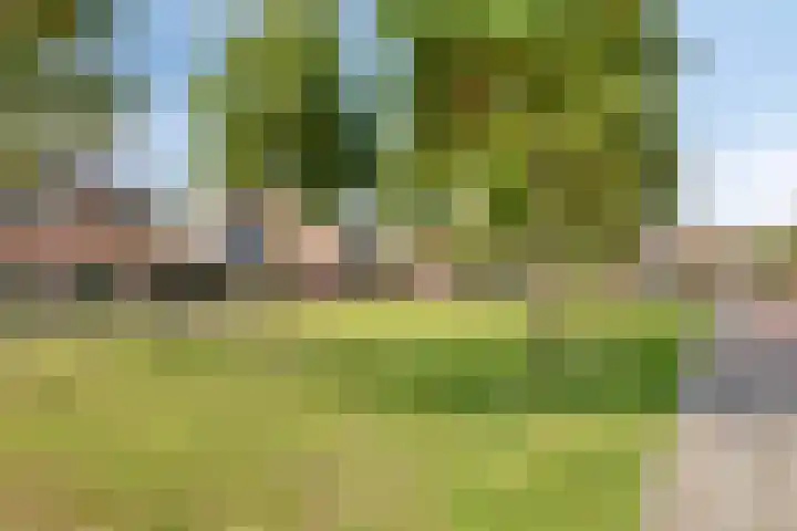 Boskriek 1 Alphen thumbnail 63