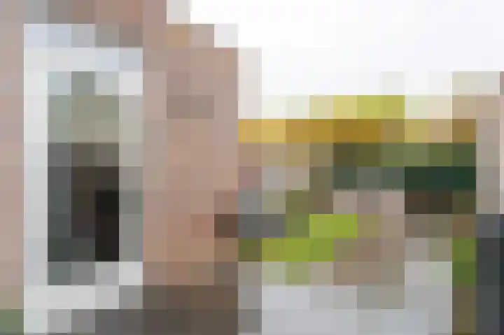 Boskriek 10 Alphen thumbnail 17