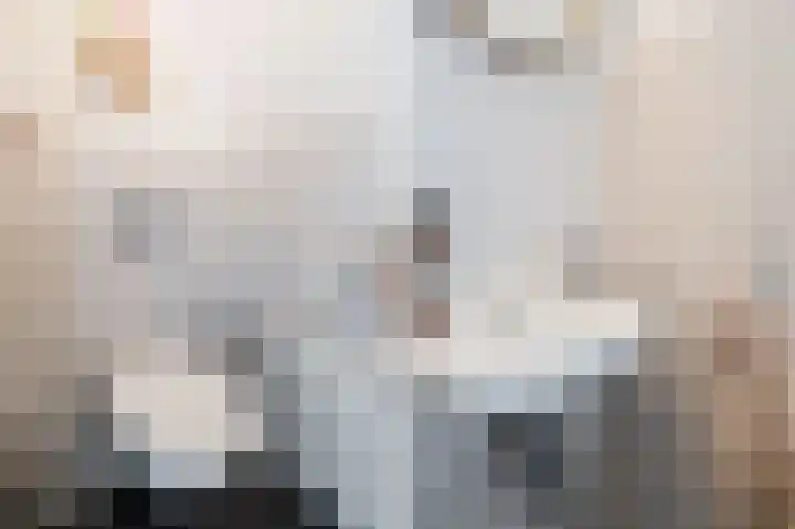 Boskriek 10 Alphen thumbnail 18