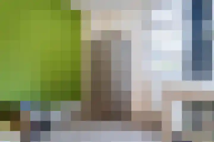 Boskriek 10 Alphen thumbnail 24