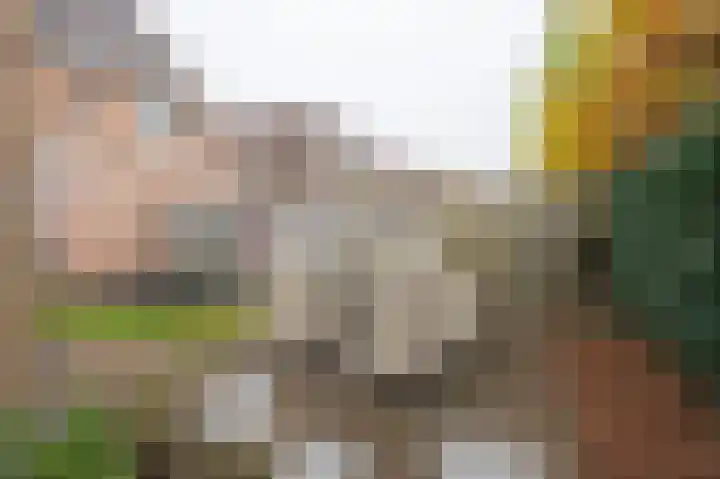 Boskriek 10 Alphen thumbnail 36