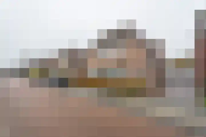 Boskriek 10 Alphen thumbnail 41
