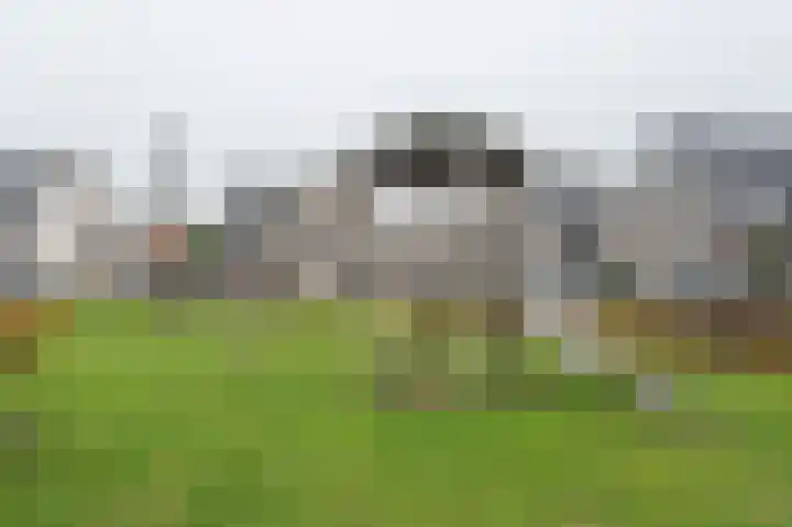 Boskriek 10 Alphen thumbnail 43
