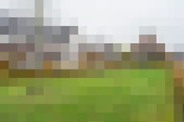 Boskriek 10 Alphen thumbnail 44