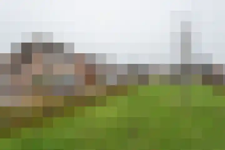 Boskriek 10 Alphen thumbnail 45