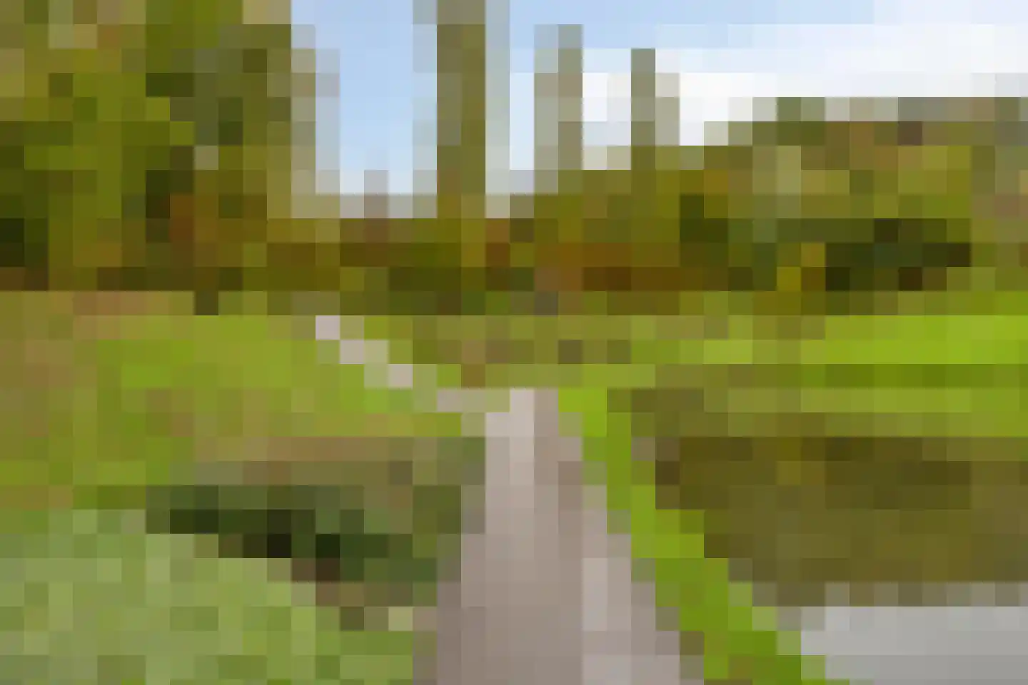 Boskriek 19 Landgraaf thumbnail 33
