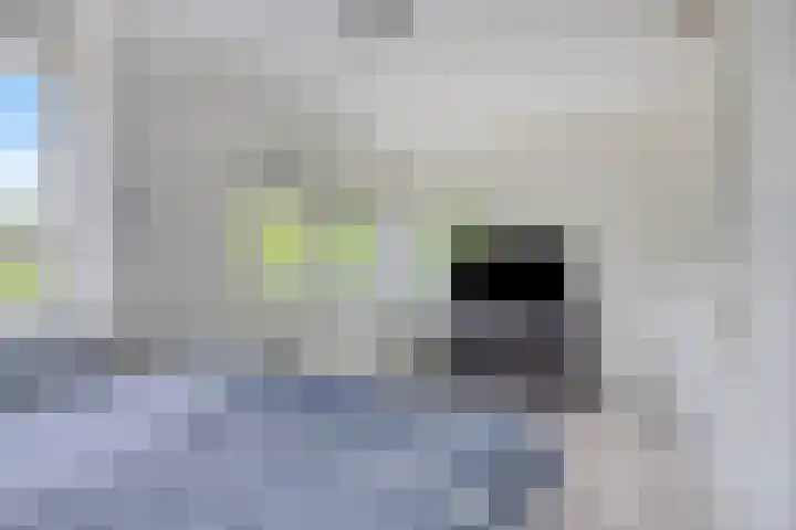 Boskriek 2 Alphen thumbnail 14