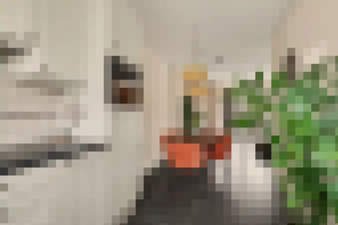 Boskriek 2 Alphen thumbnail 21