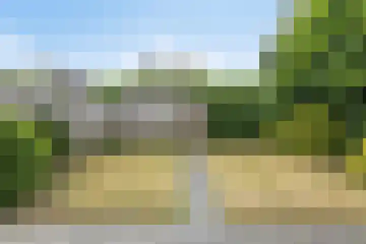 Boskriek 2 Alphen thumbnail 22