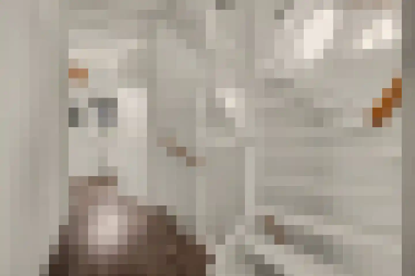 Boskriek 2 Alphen thumbnail 22