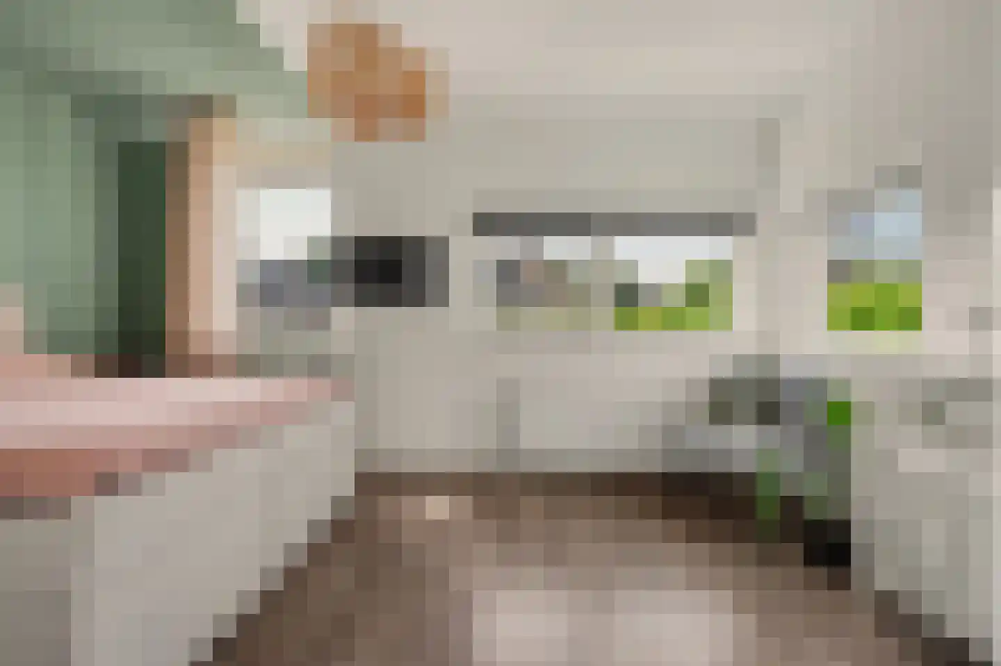 Boskriek 2 Alphen thumbnail 24