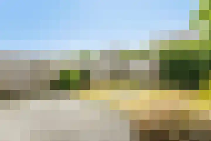 Boskriek 2 Alphen thumbnail 24