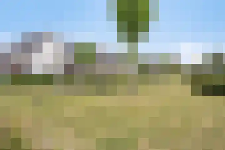 Boskriek 2 Alphen thumbnail 27