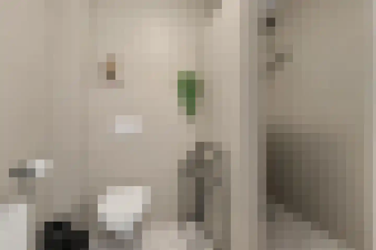 Boskriek 2 Alphen thumbnail 27