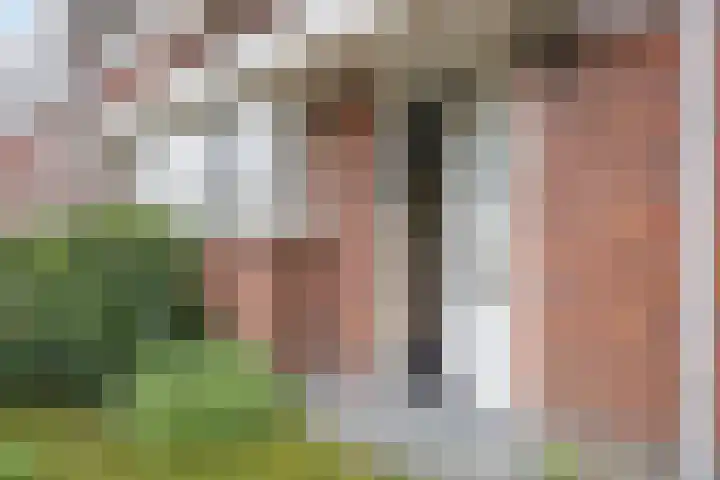 Boskriek 2 Alphen thumbnail 30