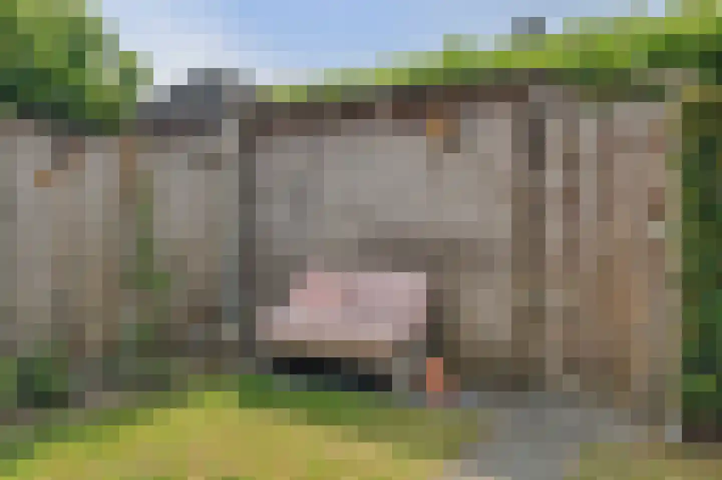 Boskriek 2 Alphen thumbnail 37