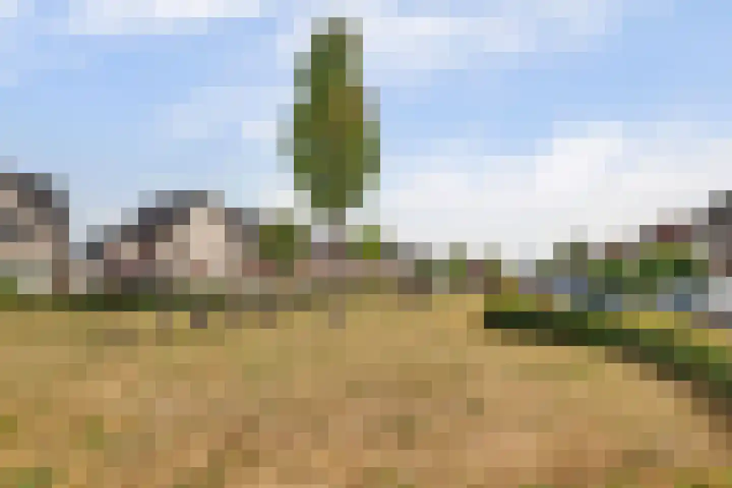 Boskriek 2 Alphen thumbnail 41