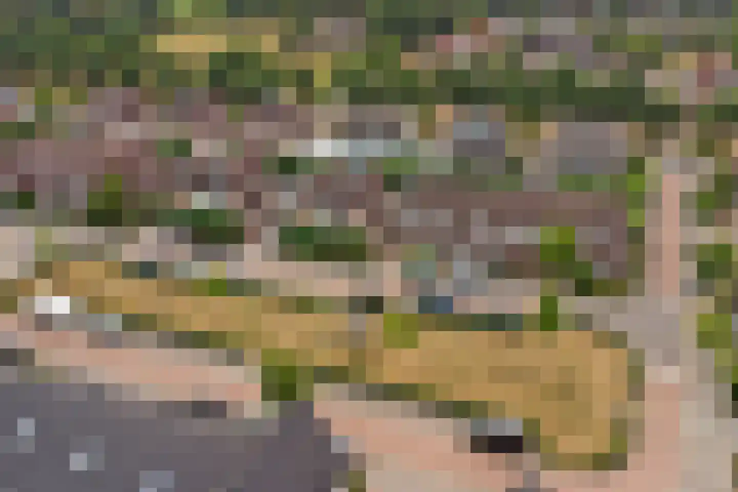 Boskriek 2 Alphen thumbnail 48